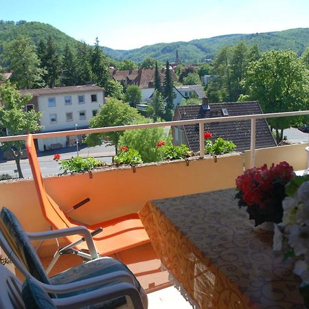 Ferienwohnung-Bergblick Bad Harzburg Eksteriør billede